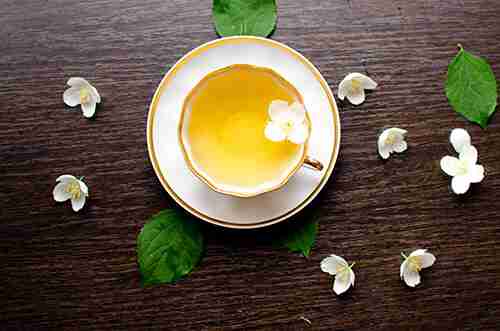 Importance of Tea in Our Daily Life