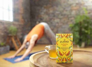 Pukka Turmeric Active Organic Herbal Tea with Ginger Galangal