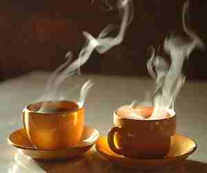 The Tea Lifestyle - Live a tea lifestyle