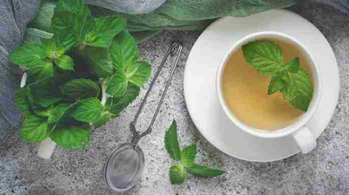 8 Health Benefits to Drinking Peppermint Tea