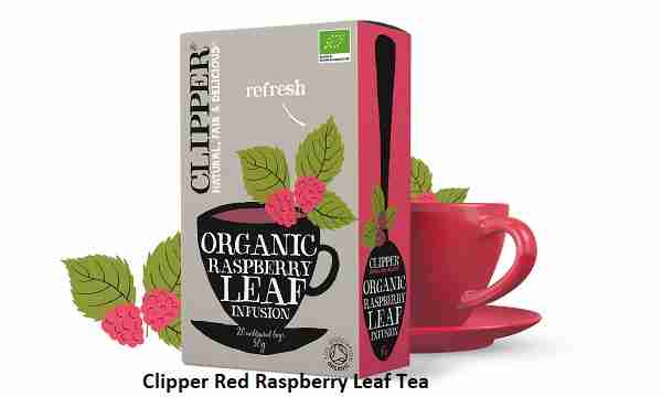 Clipper Red Raspberry Leaf Tea