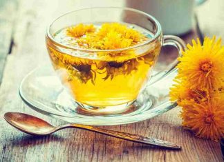 Dandelion Root Tea Detox Tea