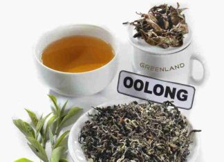 Oolong Tea Benefits For health