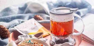IngenuiTEA Loose Tea Infuser