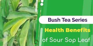 SOURSOP LEAF TEA