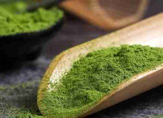 Japanese Organic Matcha Green Tea Powder