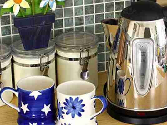 One Cup Electric Kettle
