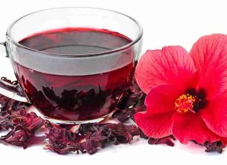 Hibiscus Tea