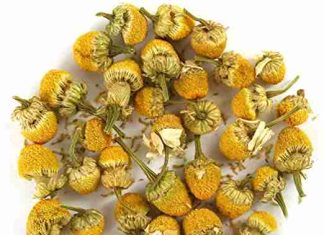 Organic Chamomile Flowers Egyptian Herbal Tea