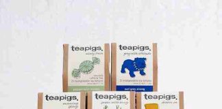 Teapigs Everyday Brew Tea Bags Review