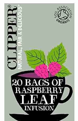 clipper organic raspberry leaf infusion 20 teabags pack of 6 total 120
