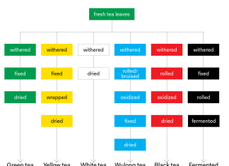 how is tea processed differently for different types 1