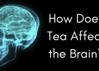how tea affects the brain 5