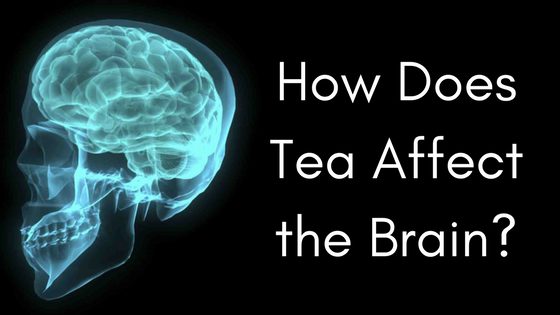 how tea affects the brain 5