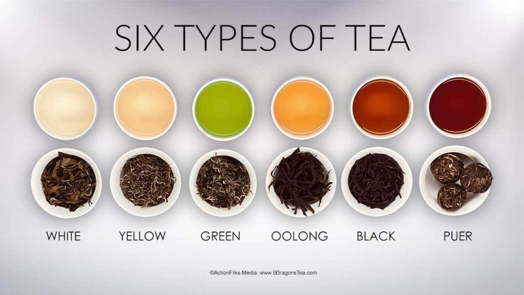 What Are The Main Types Of Tea?