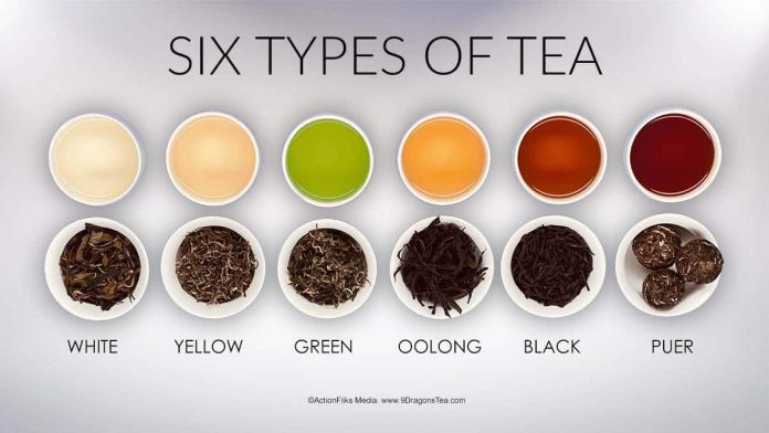 what are the main types of tea 4