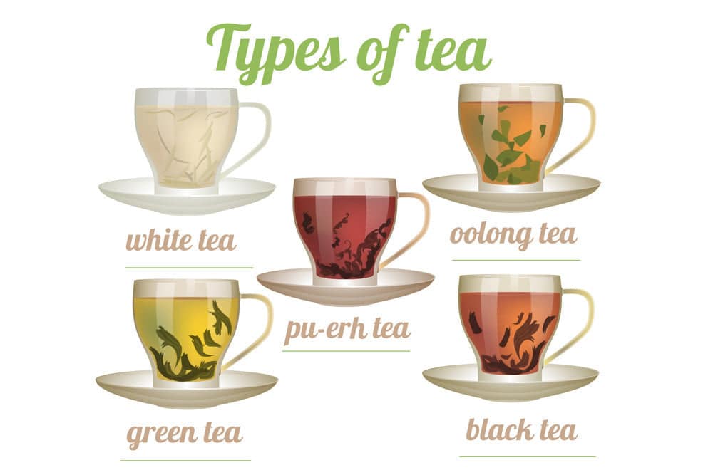 What Are The Main Types Of Tea?