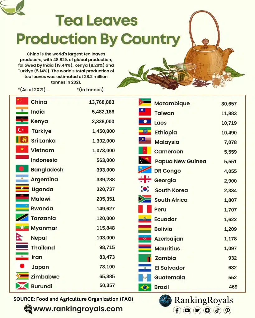 What Countries Are Major Tea Producers?