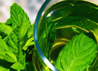 what is healthiest drink besides water