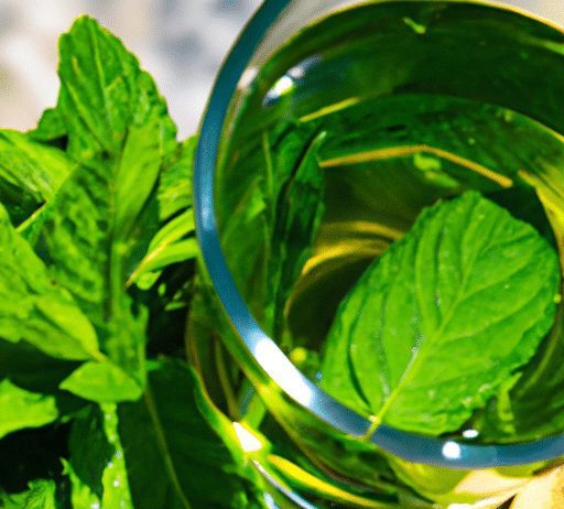 what is healthiest drink besides water