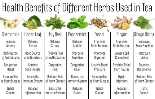 What Is Herbal Tea?
