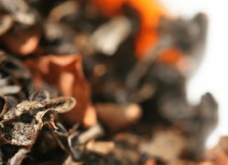 what is tea oxidation 2