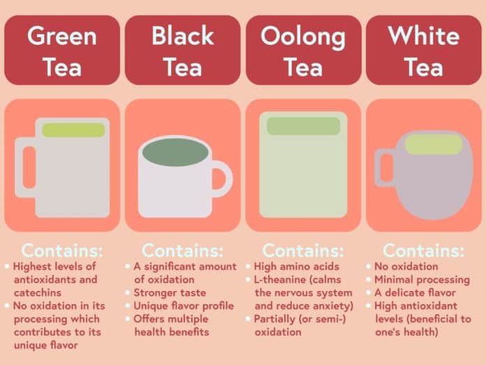 what is the difference between black green and white teas 5