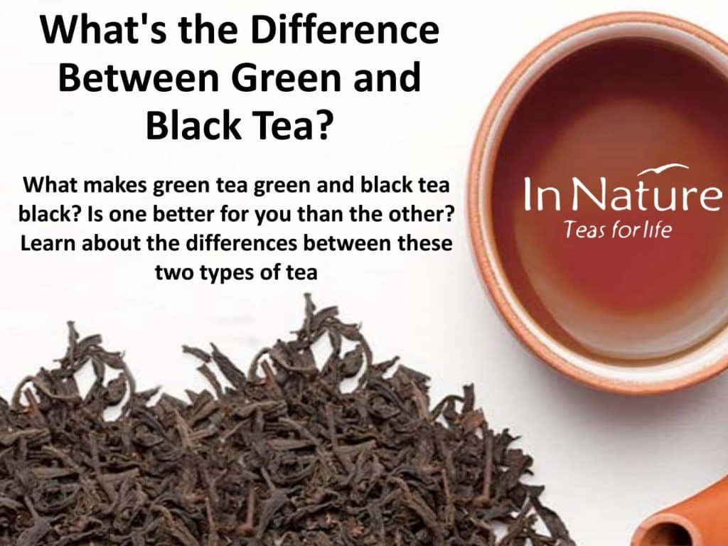 What Is The Difference Between Black Tea And Green Tea?