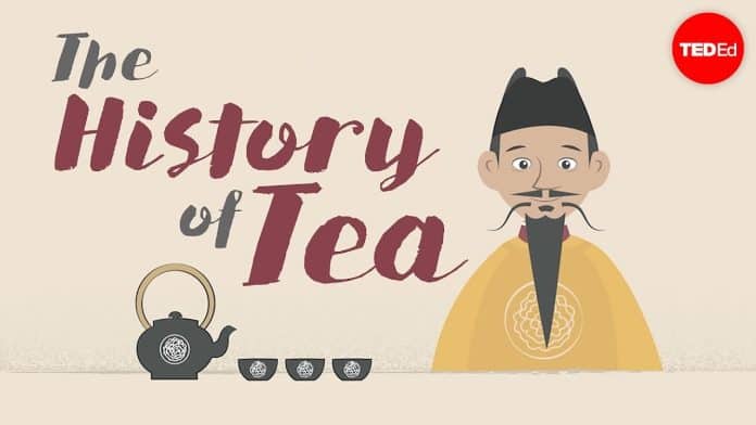 what is the history of tea 5