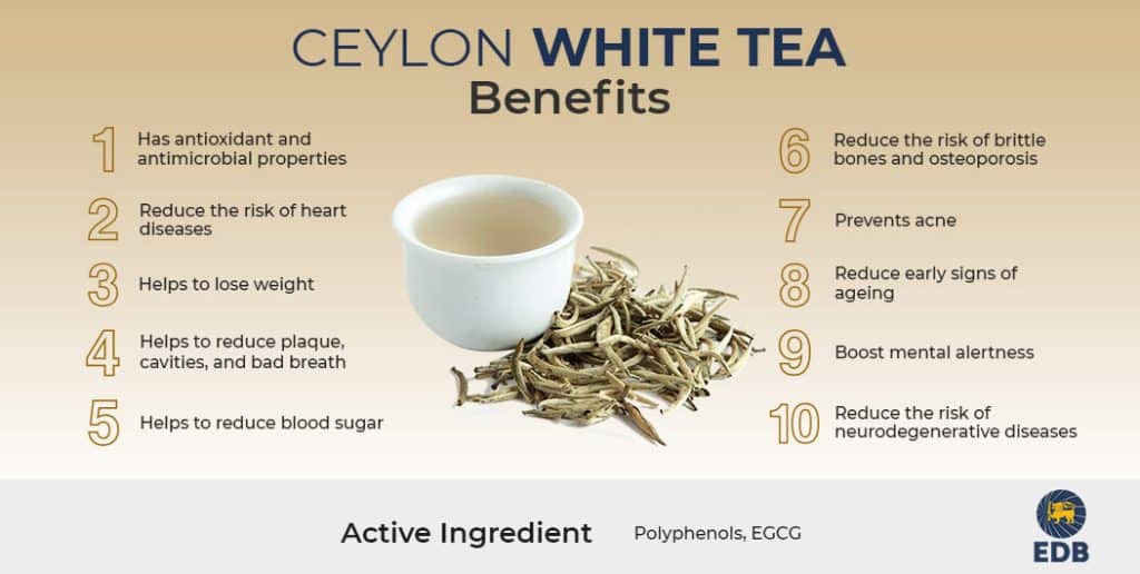 What Is White Tea?