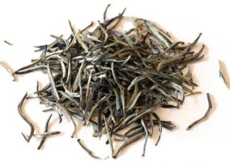 what is white tea 5