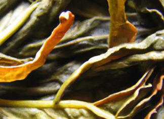 how does tea terrain affect the tea flavor