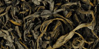 what is oolong tea