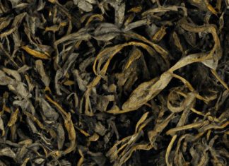 what is oolong tea