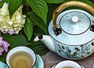 what is the difference between white tea and green tea
