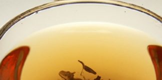 what tea speeds up metabolism