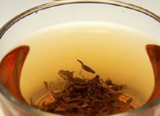 what tea speeds up metabolism