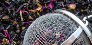 tea infusers brew loose leaf tea with a tea infuser