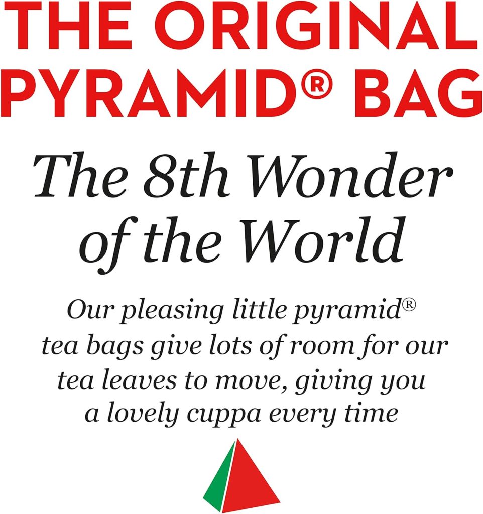 PG Tips Pyramid Tea Bag (Pack of 440)