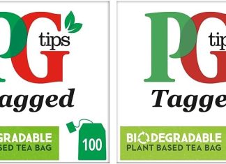 pg tips pyramid tea bag review