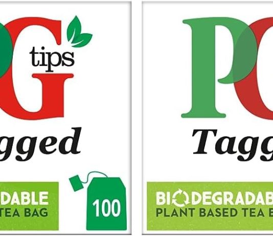 pg tips pyramid tea bag review