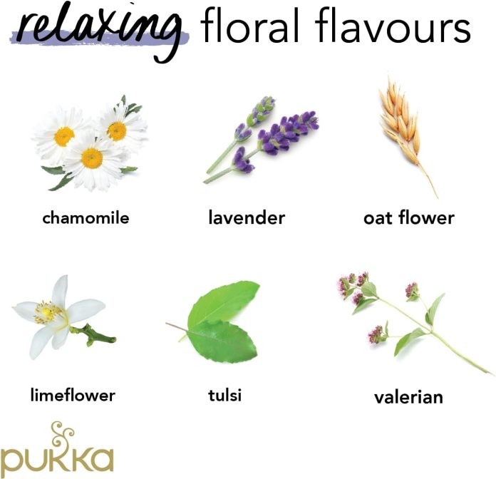 pukka herbs night time organic herbal calming tea review