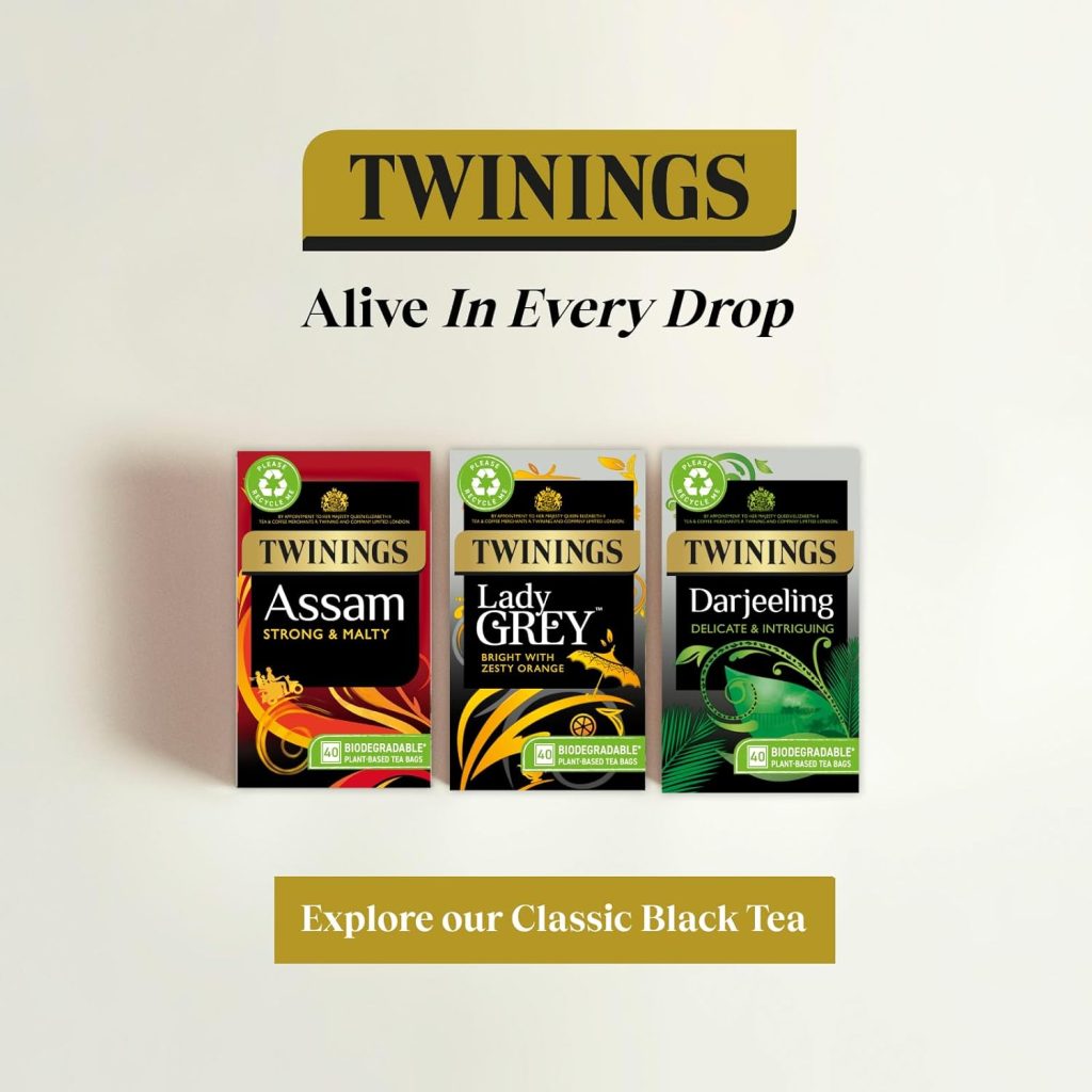 Twinings Everyday Tea | Classic Blend, Rich  Well Rounded Black Tea | Multipack Bulk Buy, 320 (4 x 80) Biodegradable Tea Bags