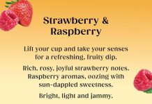 Twinings Pure Fennel Herbal Infusion Tea review