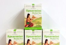 Palanquin Spearmint Tea (4 Boxes) review
